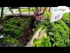 패키징 7 Dof 팔을 취급하는 것에 KR 델타 로봇을 위한 아주 튼튼하 쿠카 로봇 팔 시스템